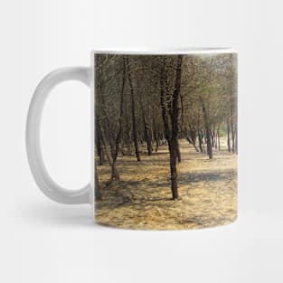 Pine tree forest at Pacitan beach with mountain in backround Mug